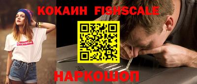 твердый Камышлов