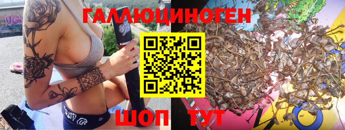 Галлюциногенные грибы MAGIC MUSHROOMS  Вход с VPN  Сарапул 