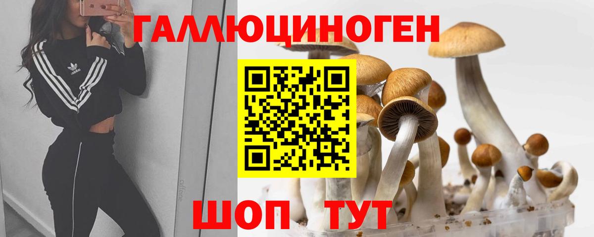 Галлюциногенные грибы Psilocybe Сарапул